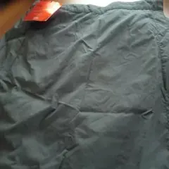 Item thumbnail for item 378cff33-3e02-4233-9281-eb501b08f4d0