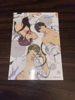 Free! ブロマイド ポストカード