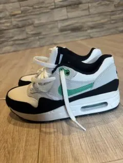 Nike Air Max 20cmホワイト ブラック グリーン