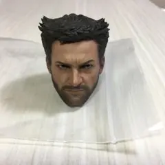 1/6 フィギュア ウルヴァリン ヒュー・ジャックマン 素体 ホットトイズ 頭