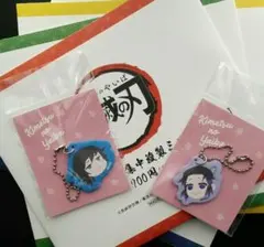 鬼滅の刃　義勇さん＆しのぶさん　気になるあいつセット