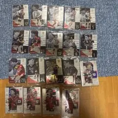 男子日本代表 バレーボール ツインウエハース　R N まとめ売り