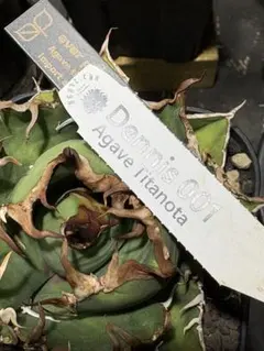 uzutan様 リクエスト 3点 まとめ商品