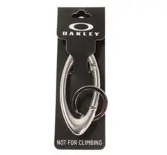 Item thumbnail for item e31e4889-2dd2-4025-be2e-73372633a007