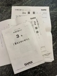 2025年分 SAPIX 3年生 11月度確認テスト 国語 算数 答えと解説 - メルカリ