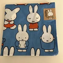 Item thumbnail for item fd739077-8408-4d50-9232-cb540bc0fd1a