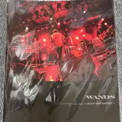 2026年最新】Wands フォトブックの人気アイテム - メルカリ