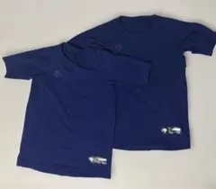 Item thumbnail for item 78521b4e-2f24-4db2-9945-b16c1d2a49f7