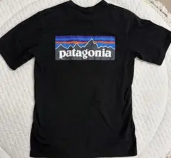 Patagonia パタゴニア ポケットTシャツ ブラック