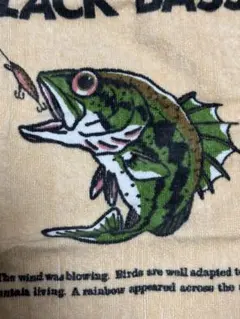 Item thumbnail for item 3c5571b2-c08d-4be0-bcc1-ed537a2fa8c3