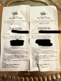 2026年最新】ハッピーエントリー通行証の人気アイテム - メルカリ