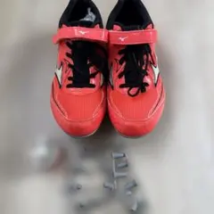 Item thumbnail for item d42d05c1-bd5b-43cc-92ee-a0e9d9c68cb4