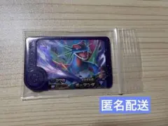 ポケモンフレンダ スーパートレジャー ボーマンダ