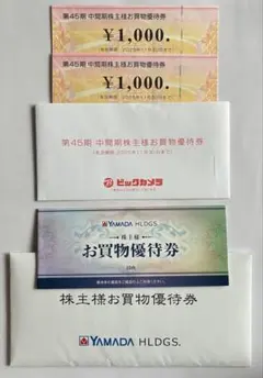 ヤマダ電機 ビックカメラ　株主優待券 計7000円分