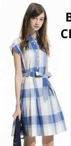 Item thumbnail for item e045d241-55ac-4417-96e9-86c2c726db67