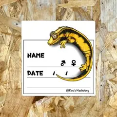 Naoki様 リクエスト 2点 まとめ商品