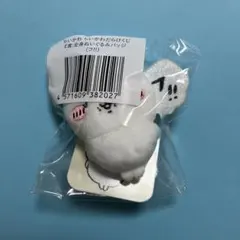 ちいかわ　ちいかわだらけくじ　E賞:全身ぬいぐるみバッジ（フ‼︎）①