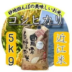 送料無料 一等検査米 令和7年産 京都 丹後 コシヒカリ 5kg - メルカリ