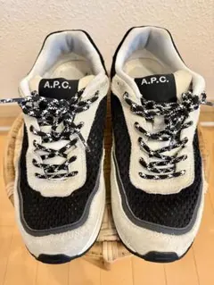 Item thumbnail for item 2ab3af1f-3d88-48b4-acaf-f8f02691ab94