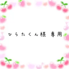 ひらたくん様専用