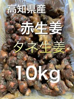 千葉県産 割れニンニク 10キロ 9980円 - メルカリ