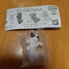 わんこっと フレンチブルドッグ ガチャ