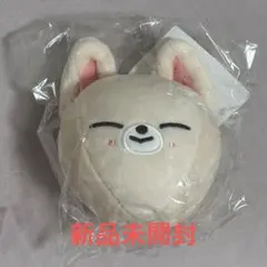 straykids バッグチャーム フォクシニー アイエン