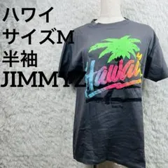 g*n様 JIMMYZ ハワイ グラフィック 半袖 Tシャツ グレーのサムネイル