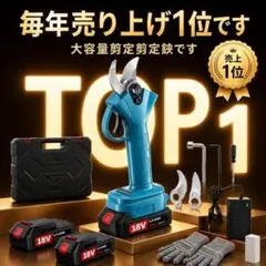 052702 電動ハサミ 動作確認済 21V 充電式バッテリー 木の枝カッター 052702 電動ハサミ 動作確認済 21V 充電式バッテリー 木の枝カッター
