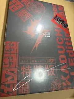 LAM 画集いかがち 特装版 LAM初画集『いかづち』の個展会場限定特装版です⚡️ 直筆サインを入れ