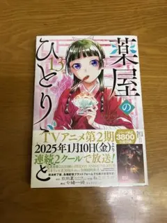 薬屋のひとりごと 13巻セット Amazon.co.jp: 薬屋のひとりごと 13巻通常版 (デジタル版ビッグ