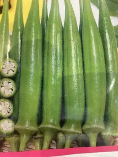 末ちゃん様 リクエスト 2点 まとめ商品