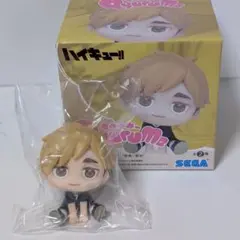 ハイキュー!!　きゅるみーフィギュア　宮侑