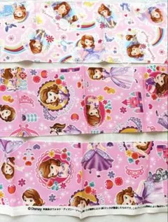 ソフィア　プリンセス　ディズニー　はぎれ　布　生地　ハンドメイド　入園準備