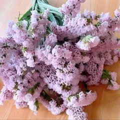 Haruru様 リクエスト 3点 まとめ商品