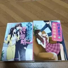 ベリーズ文庫　2冊セット