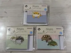 一番くじ 爬虫類と両生類 メモパッド 3種セット