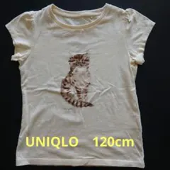 ユニクロ　猫イラスト付きTシャツ120cm