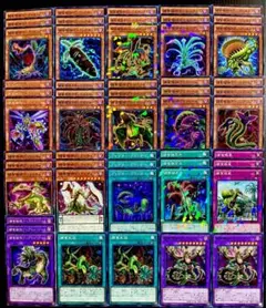 遊戯王　捕食植物　プレデタープランツ　18種52枚デッキパーツ　240726-2