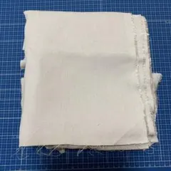 Item thumbnail for item 686b4b4f-ba17-40bc-ad7b-9a8de9a698e9