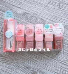 6本セット パラドゥ トップコート ネイルファンデーション