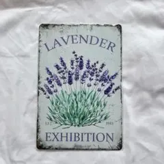 Item thumbnail for item 42829fdd-d79e-46b7-bc7c-5e0ca1b9c60f