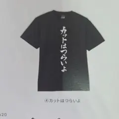 卓球ウェア　心が熱くなる卓球練習着　カットはつらいよXLサイズ　新品