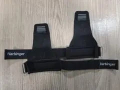 Item thumbnail for item cd331d2d-4f21-4b9e-9700-eb8e77230bda