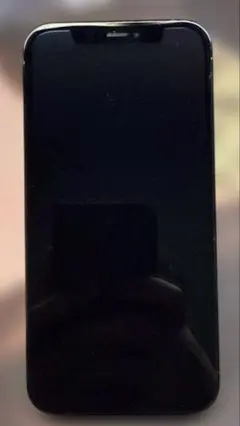 iPhone 12 Pro パシフィックブルー 本体 256GB おまけ付き