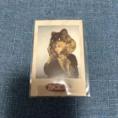 straykids skzoo スキズ ハン チェキ風トレカ