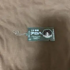 超特急 アロハ 13号車 EVE Ticket Keyholder