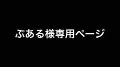 ぷあるせんよう