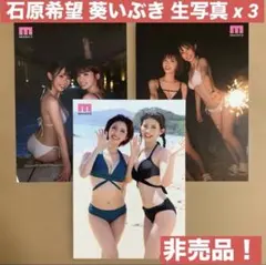 石原希望 葵いぶき 生写真 DVD 特典 グラビアアイドル チェキ セクシー女優のサムネイル