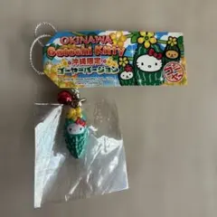 2025年最新】ゴーヤーバージョンの人気アイテム - メルカリ